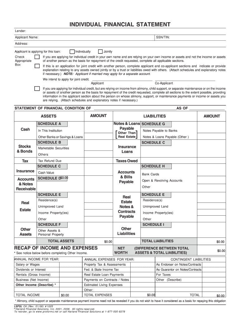 Individual Financial Statement Lsfsl Form