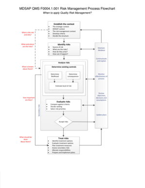 MDSAP QMS F00041001 Risk Management Process Flowchart Fda  Form