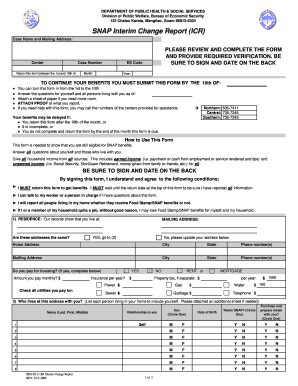 Snap Interim Report Online  Form