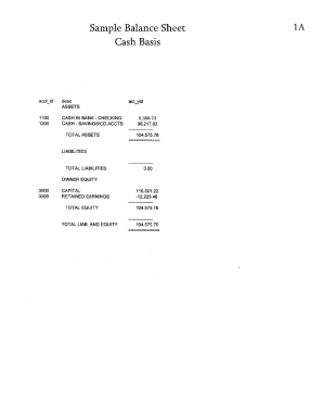 Hoa Balance Sheet Template  Form