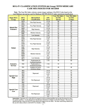 Rug Score Chart  Form