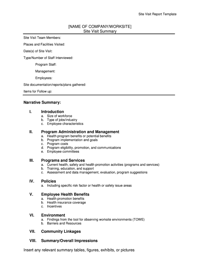 Site Visit Report Sample PDF  Form