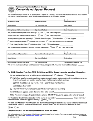 Consolidated Appeal Request Tennessee  Form