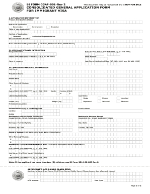 Bi Form Cgaf 001 Rev 2