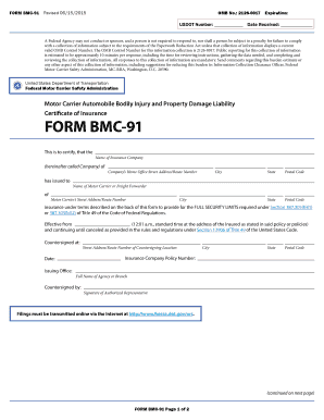 Bmc 91 Form PDF