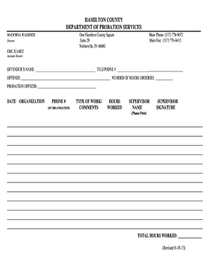 Community Service Time Log Adult PDF Hamiltoncounty in  Form