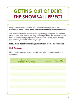 Debt Snowball PDF  Form