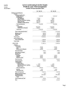 Profit and Loss Template Ytd Fillable Online Form