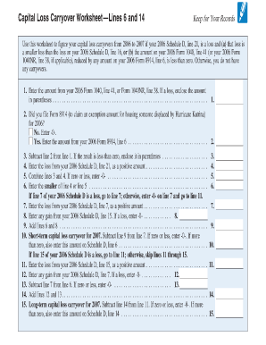  Capital Loss Carryover Worksheet 2018-2024