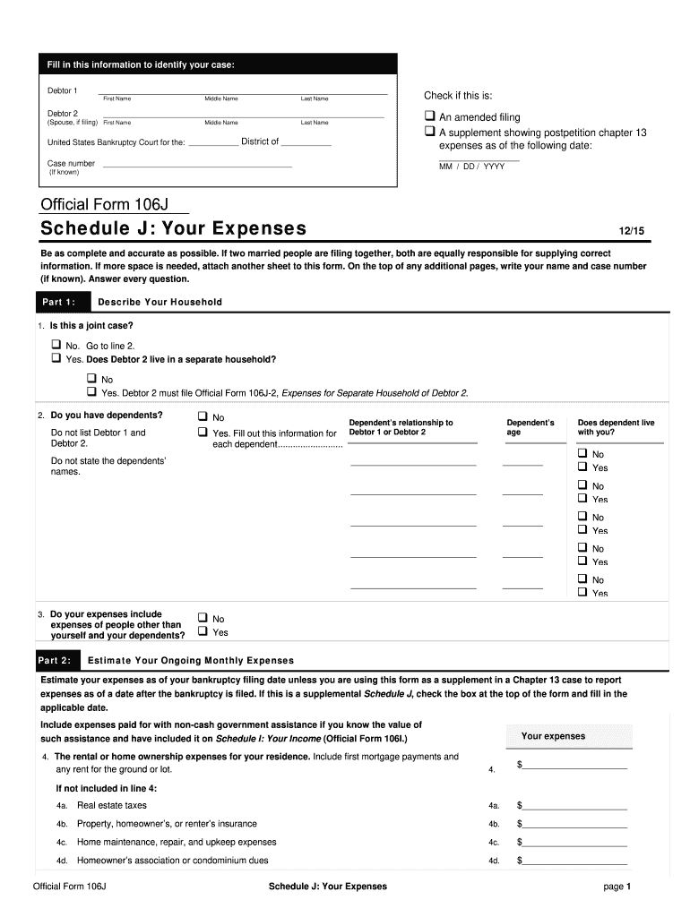  Irs Chapter 7 Form B 106j 2 2015-2024