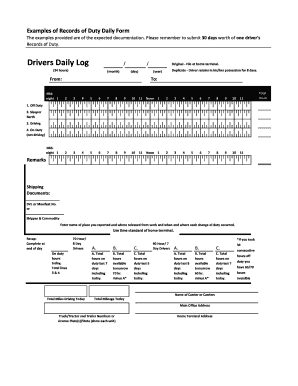 Examples of Records of Duty Daily Form