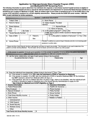  Dsh Application Form 2015-2024