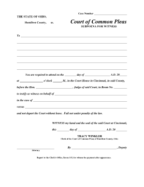 Hamilton County Common Pleas  Form