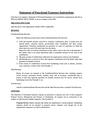 State of Utah Statement of Functional Expenses Form