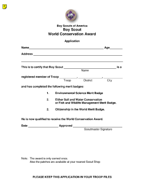 Citizenship in the World Merit Badge Worksheet PDF  Form