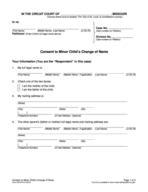Consent to Minor Childs Change of Name  Form