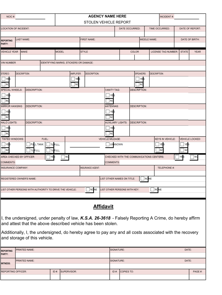 Stolen Vehicle Police Report Example  Form