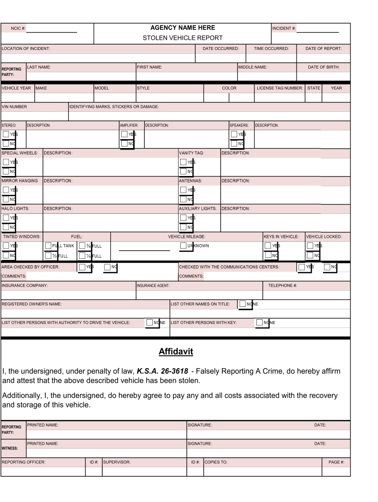 Stolen Vehicle Police Report Example Form