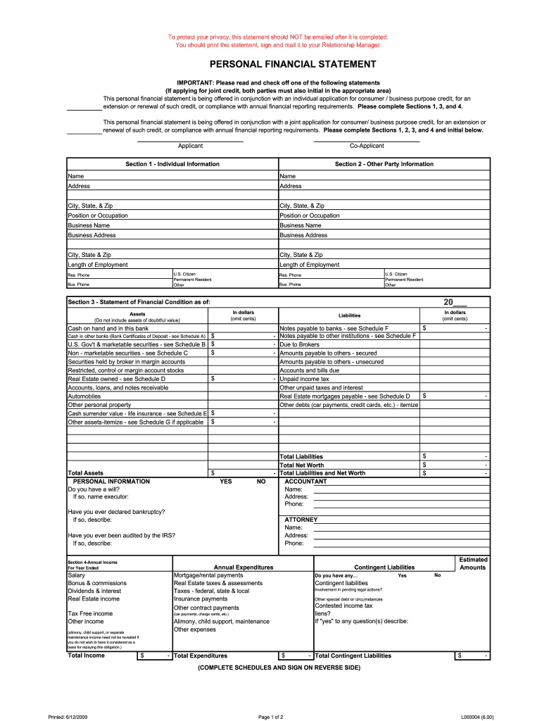  Financial Statement Template 2009-2024