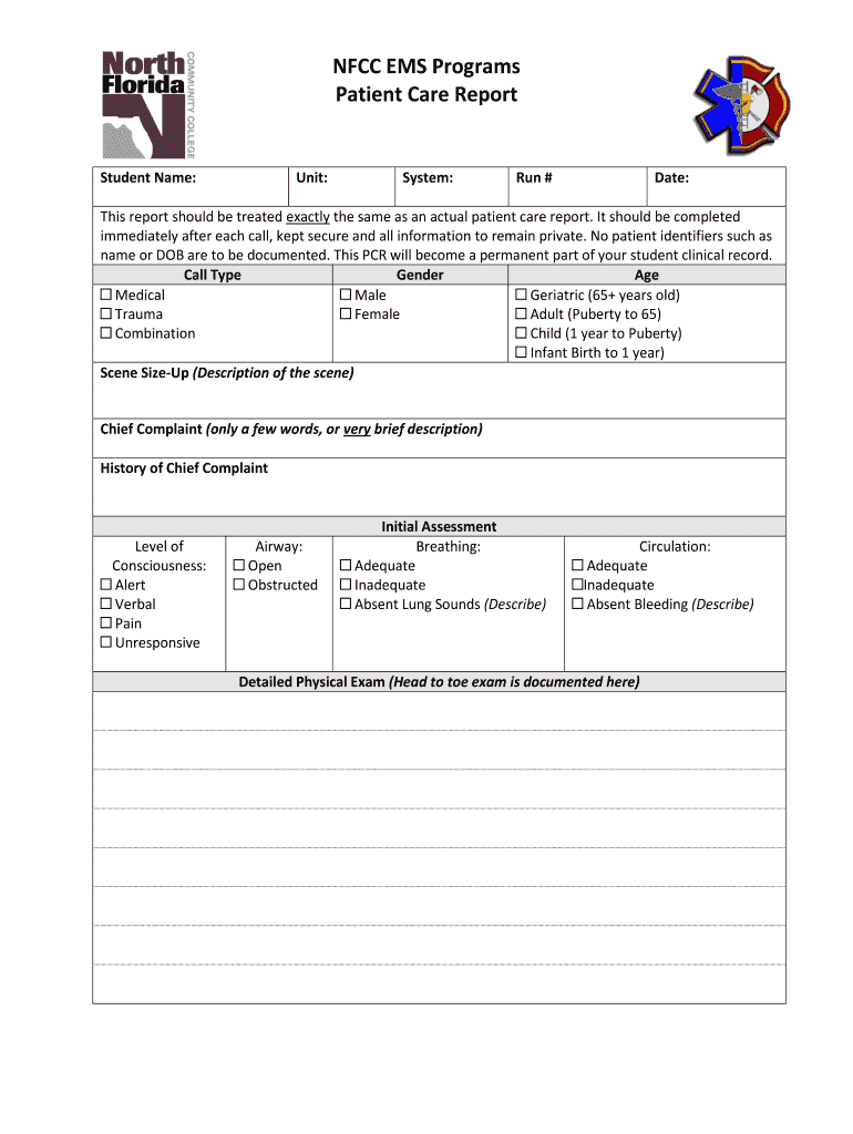 Patient Care Report Examples  Form