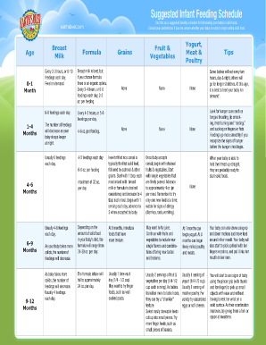 Baby Solid Food Schedule  Form