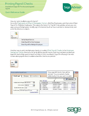 Online Fillable and Print Payroll Checks Form