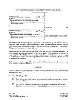  DV 101 Child Support Information 611 Domestic Violence Forms 2011