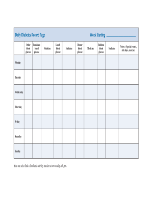 Daily Diabetes Record Page  Form
