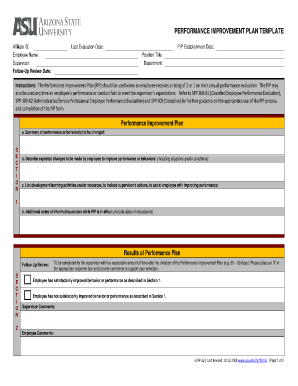 Improvment Initiative Template  Form