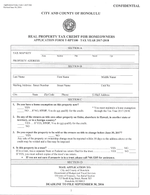  Form T Rpt100 2016-2024