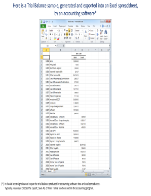 Trial Balance Format PDF