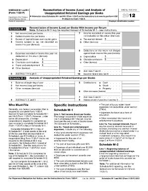 Schedule M 1 Excel Template  Form