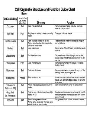 Structure And Function Of Organelles Chart