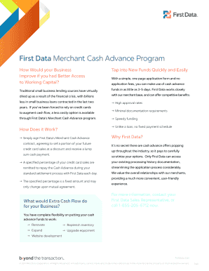 Merchant Cash Advance Application PDF  Form