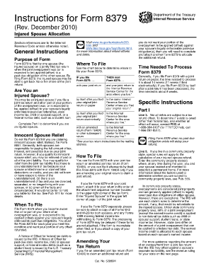 Form 8379 Instructions