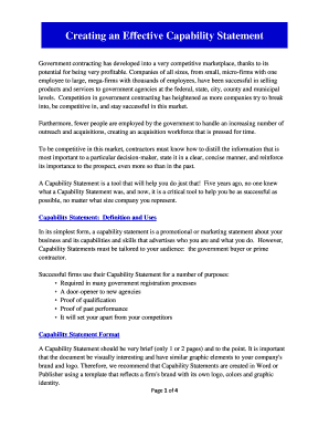 Capability Statement Template for Government Contractors  Form