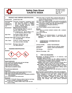 Caustic Soda Msds  Form