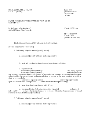 D R L 111, 111 A, 112, 115 Form 1 C S C P a 17251 Petition Nycourts