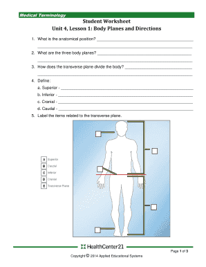 Body Planes Worksheet PDF  Form