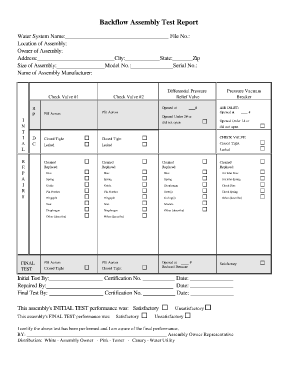  Generic Backflow Test Report Form 2003-2024