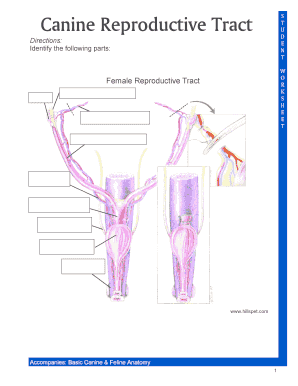 Canine Reproductive Tract  Form