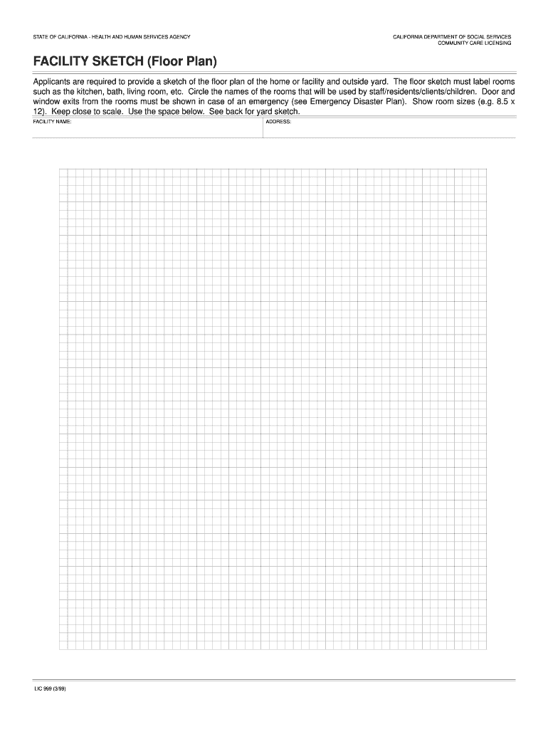 Lic 999  Form