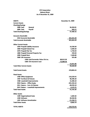 Balance Sheet PDF  Form