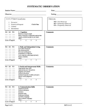 Systematic Observation Form