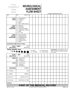 Neuro Checks Flowsheet  Form