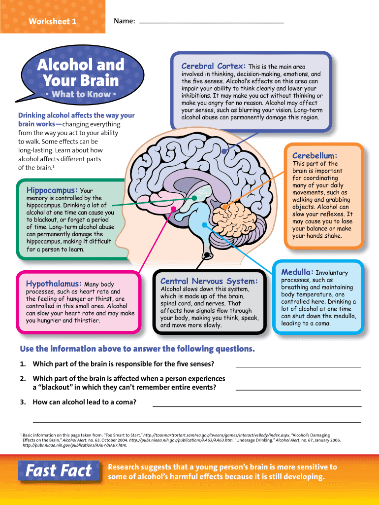 Alcohol and the Brain Worksheet  Form