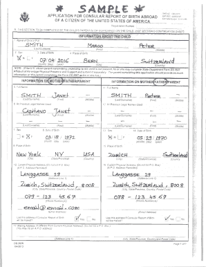 Ds 2029 Example  Form