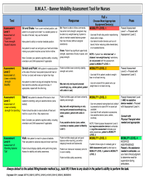 Banner Mobility Assessment Tool  Form