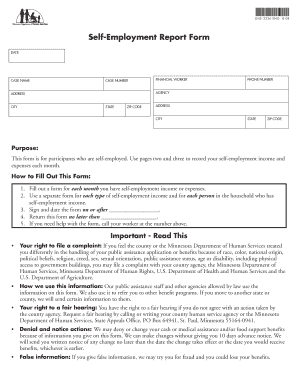 Self Employment Report Form Dhs 3336