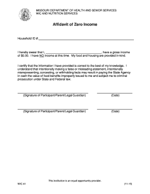 Zero Income Affidavit Form